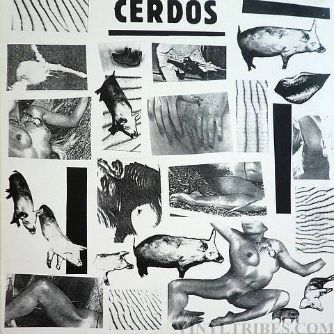 cerdos 1