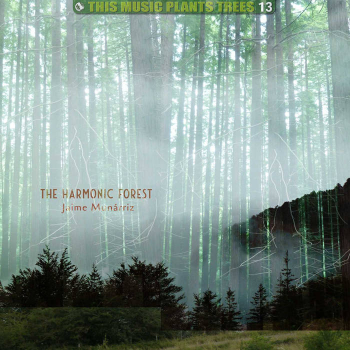 the harmonic forest
